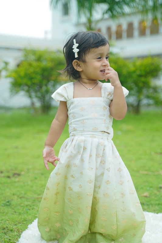 Double Shaded Botti Green Lehenga with Back Bow