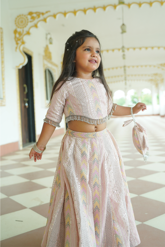 Pastel Pink Sequin Lehenga Set with Potli