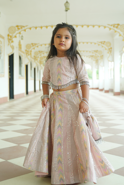 Pastel Pink Sequin Lehenga Set with Potli