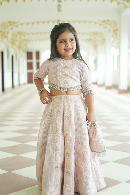 Pastel Pink Sequin Lehenga Set with Potli