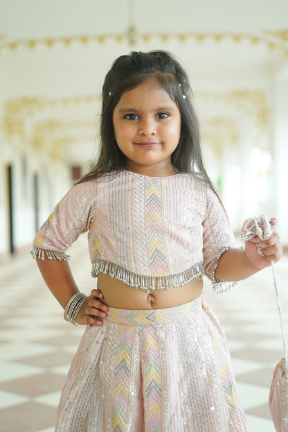 Pastel Pink Sequin Lehenga Set with Potli